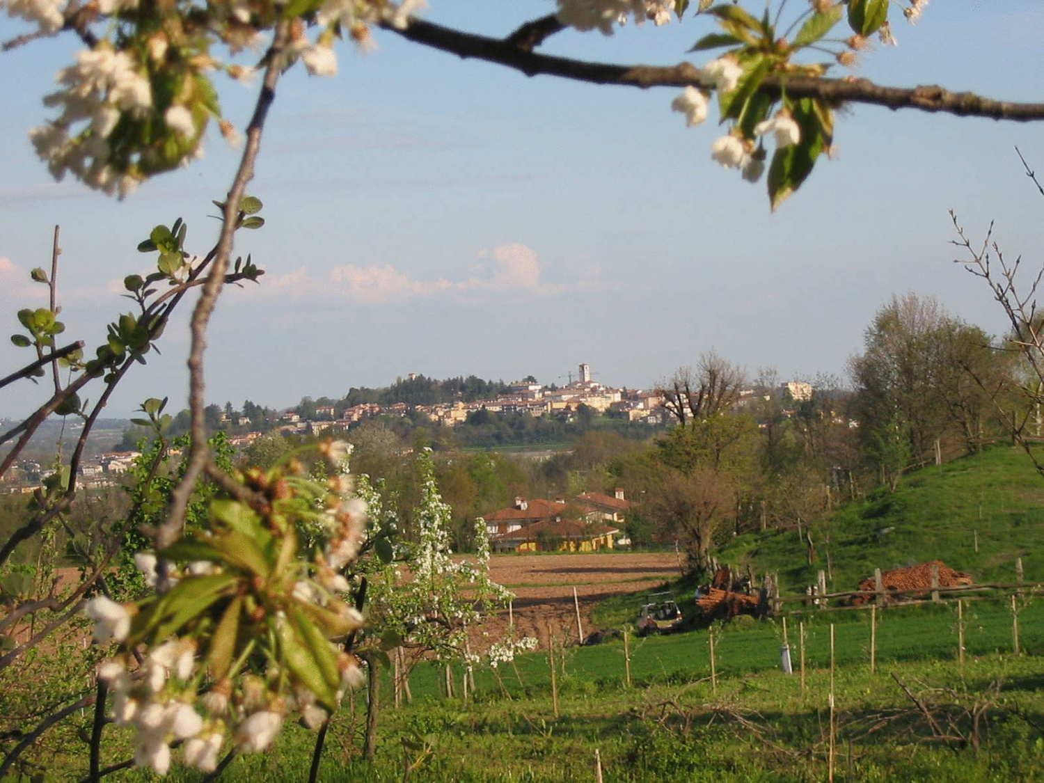 Villa Agriturismo Casa Rossa Ai Colli Ragogna Exterior foto