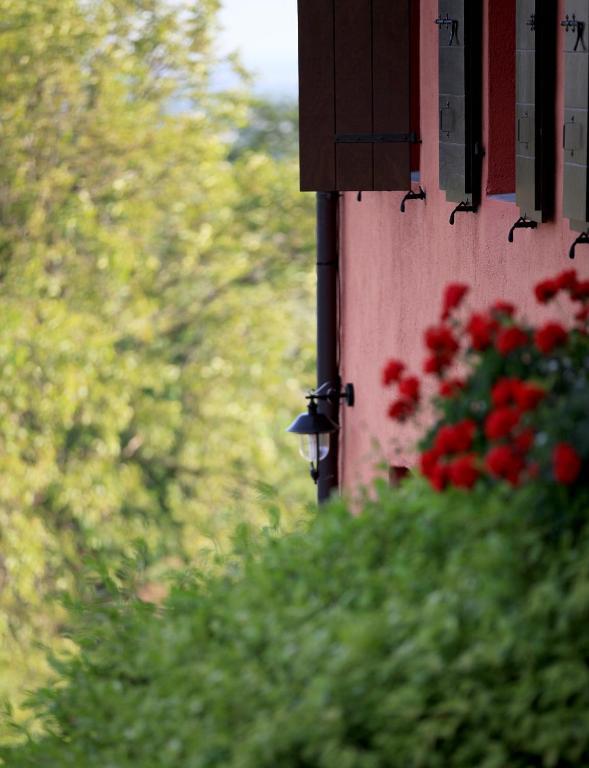 Villa Agriturismo Casa Rossa Ai Colli Ragogna Exterior foto