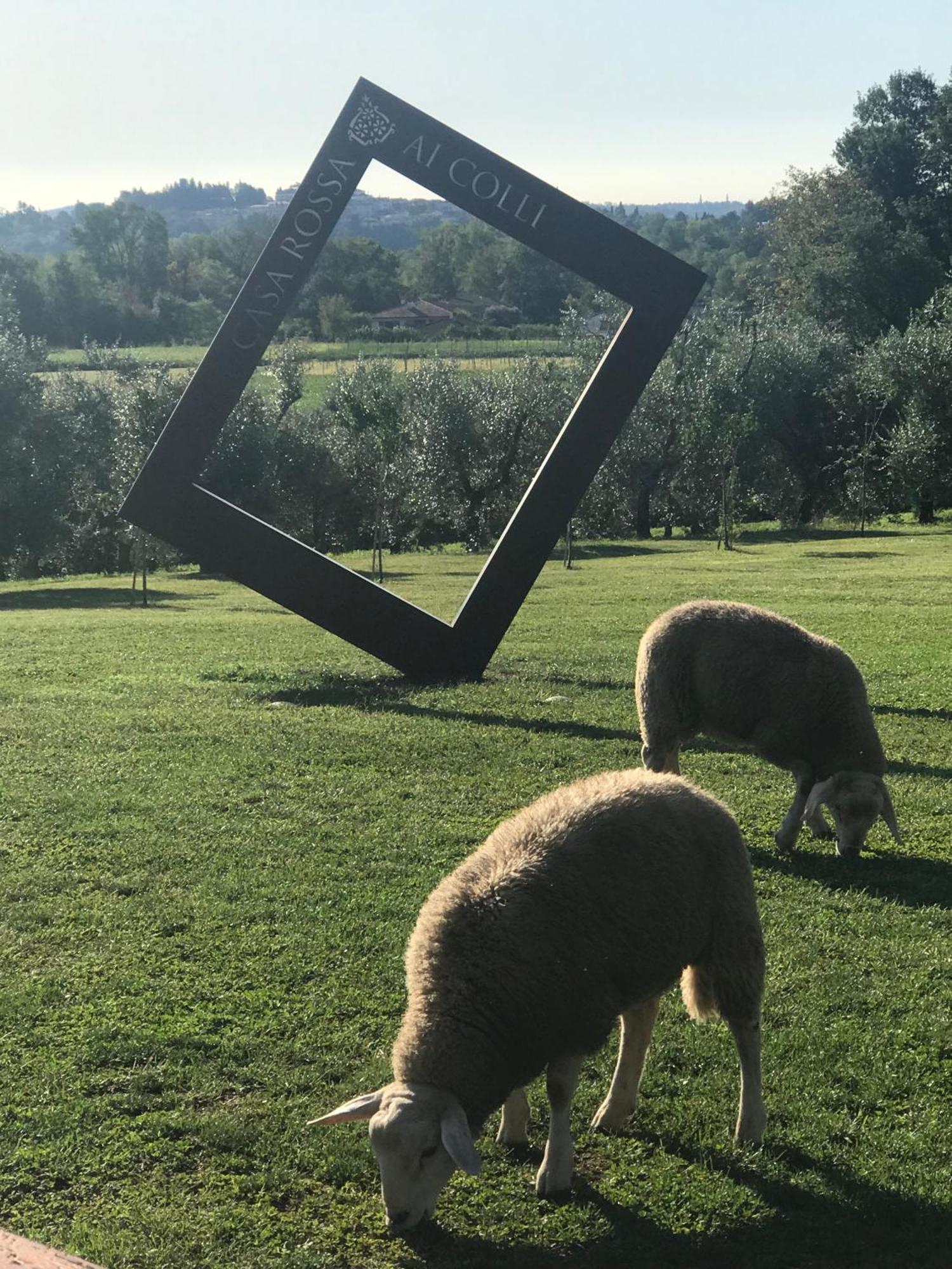 Agriturismo Casa Rossa Ai Colli Ragogna Exterior foto